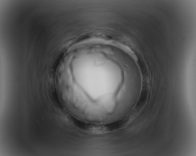 X0000086330415200704131725