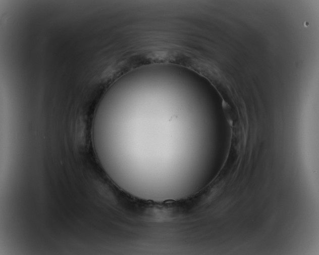 X0000086330416200704131725