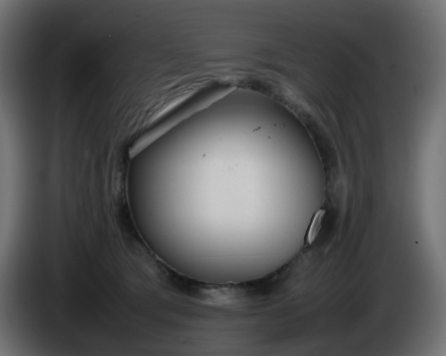 X0000086330417200704131725