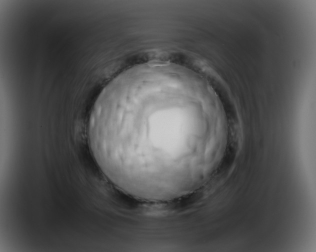 X0000086330419200704131725