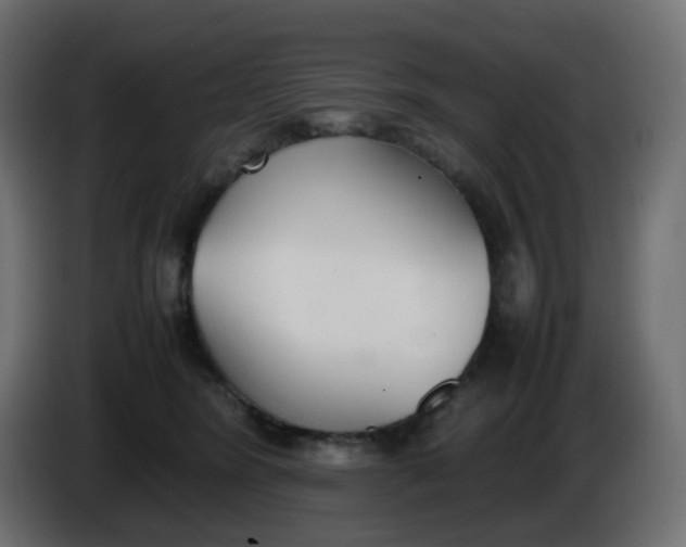 X0000086330420200704131725