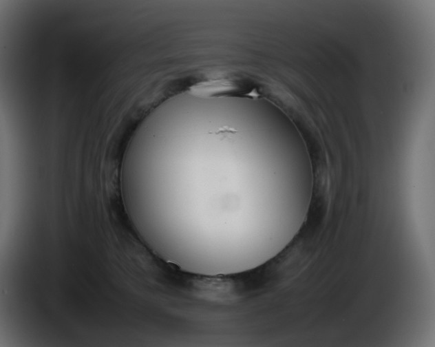 X0000086330421200704131725