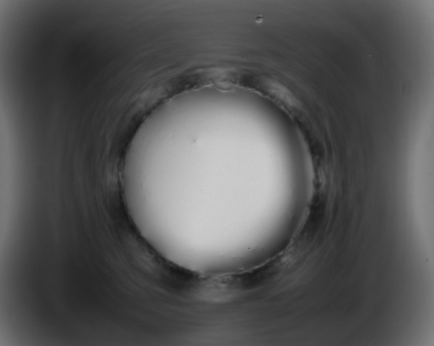 X0000086330423200704131725