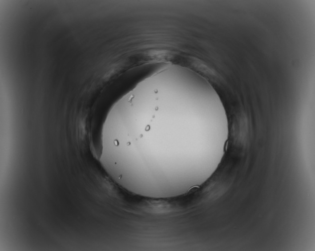 X0000086330424200704131725