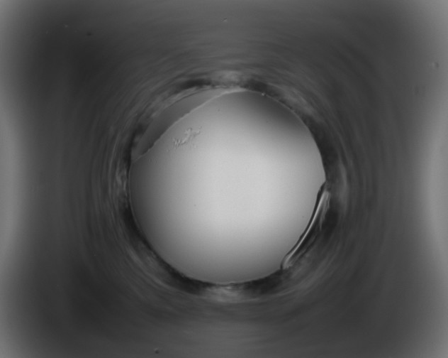 X0000086330425200704131725