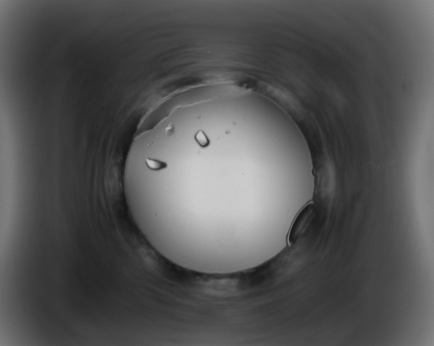 X0000086330426200704131725