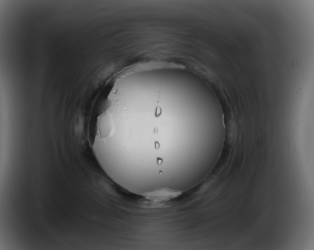 X0000086330428200704131725