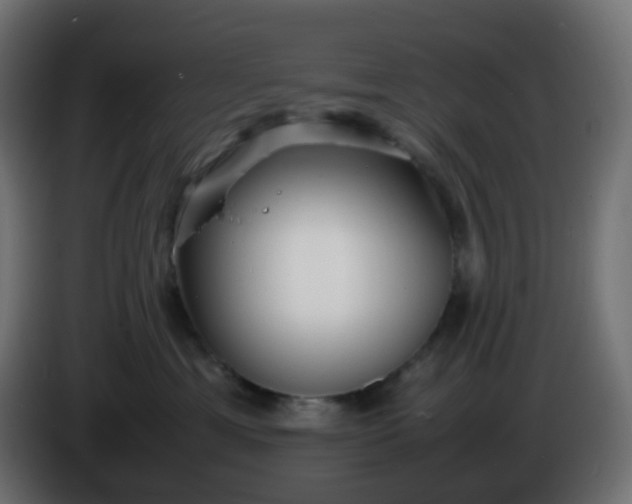 X0000086330429200704131725