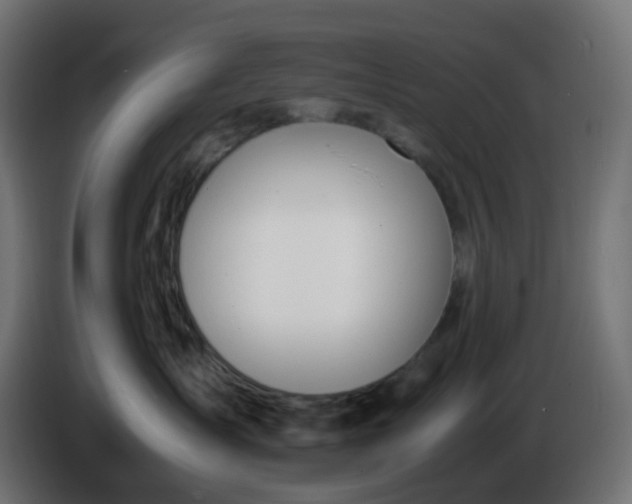 X0000086330431200704131725