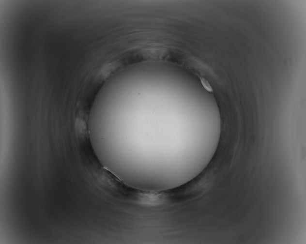 X0000086330432200704131725