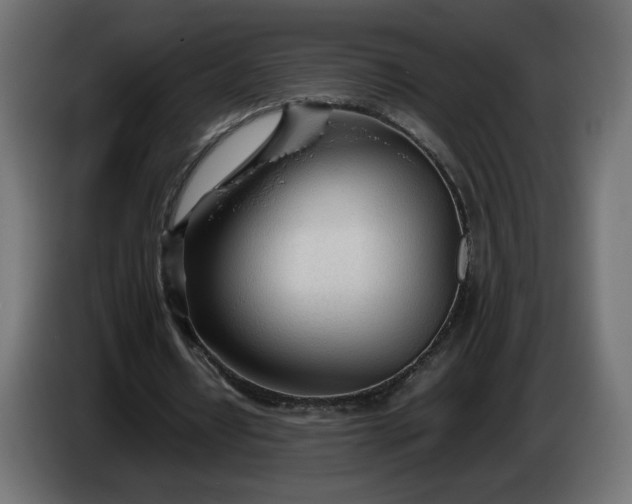 X0000086330434200704131724