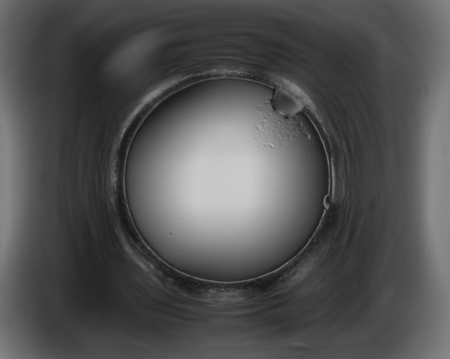 X0000086330435200704131724