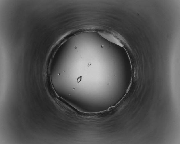 X0000086330436200704131724