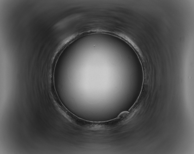 X0000086330437200704131724