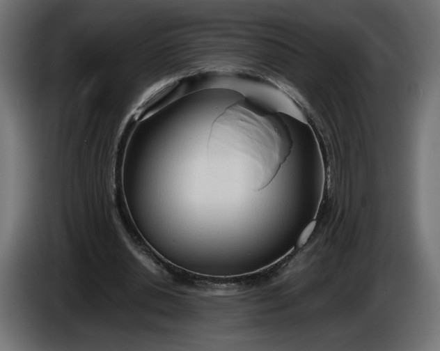 X0000086330438200704131724