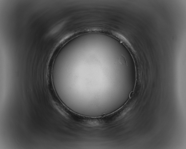 X0000086330439200704131724