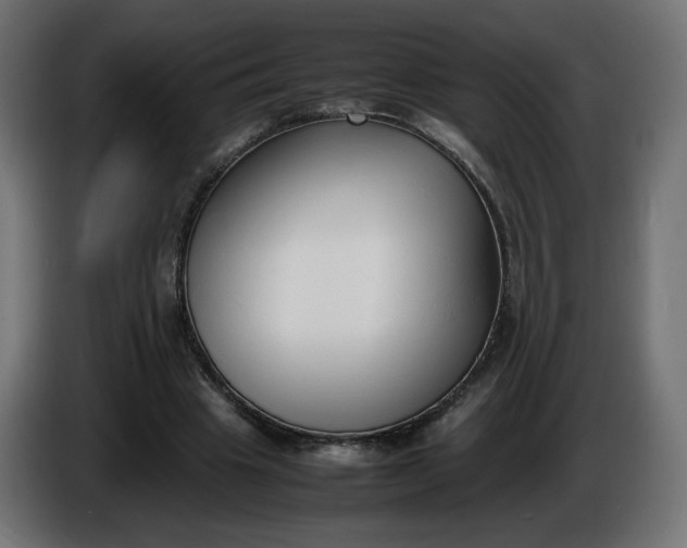 X0000086330441200704131724