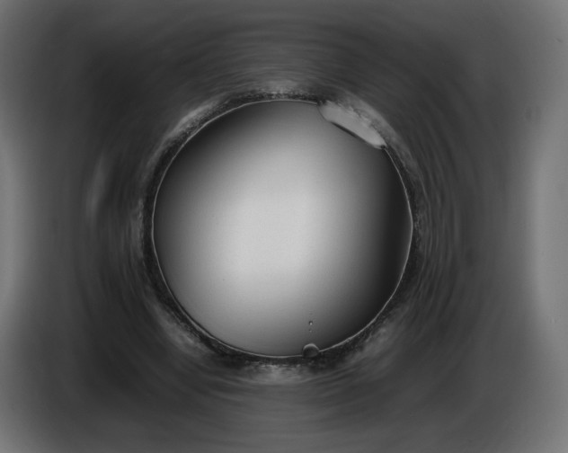 X0000086330442200704131724