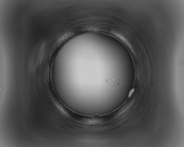 X0000086330445200704131724