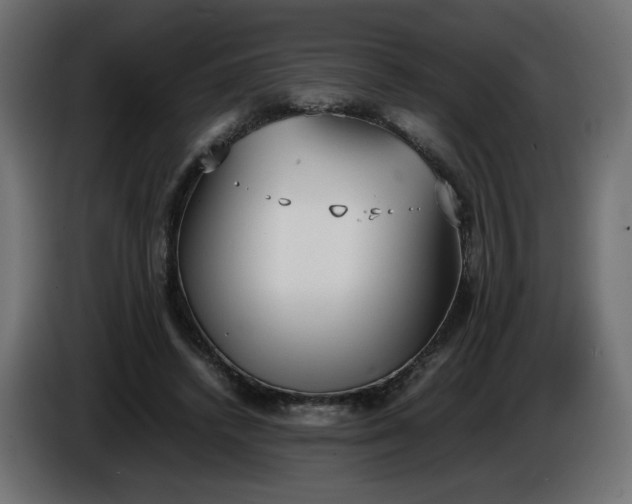 X0000086330448200704131724