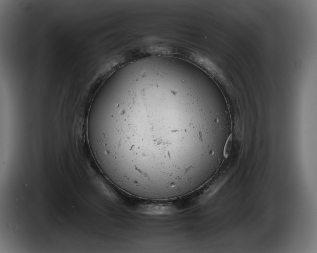 X0000086330449200704131724