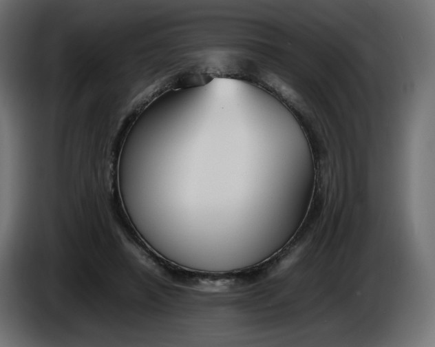 X0000086330450200704131724