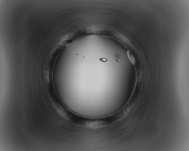 X0000086330452200704131724