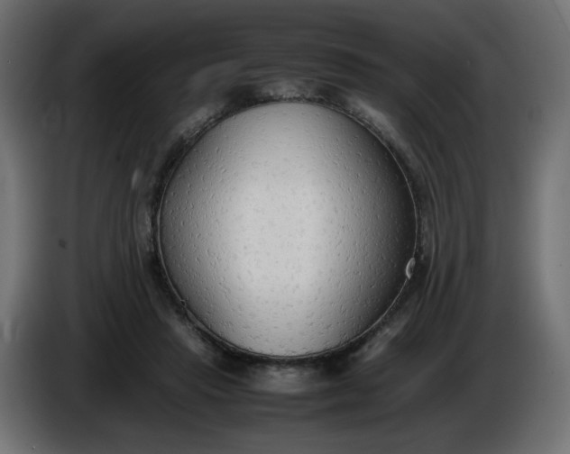 X0000086330453200704131724