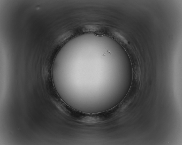 X0000086330455200704131724