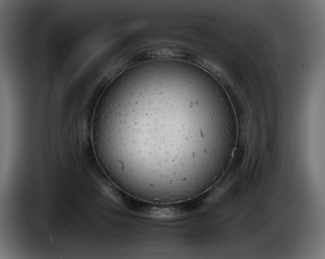 X0000086330457200704131724