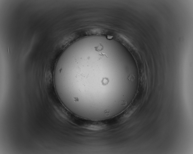 X0000086330459200704131724