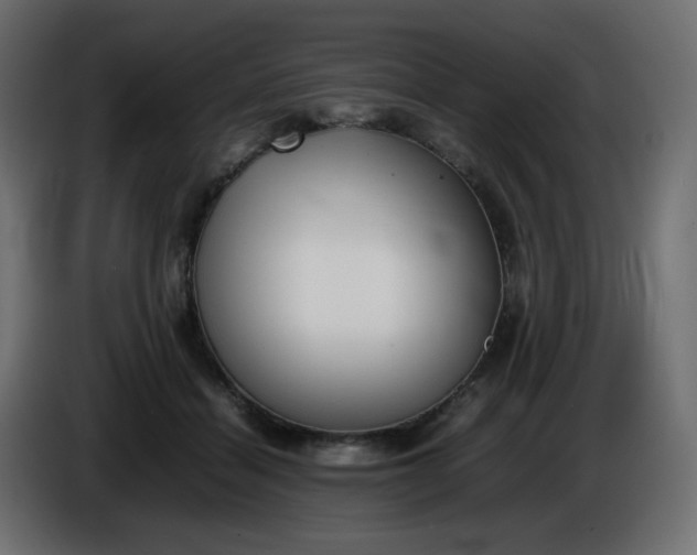 X0000086330460200704131724