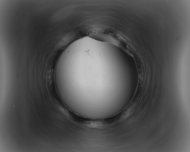 X0000086330462200704131724