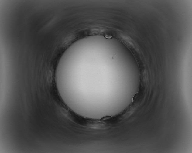 X0000086330463200704131724