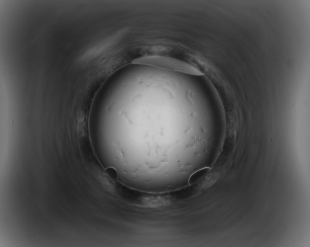 X0000086330465200704131724