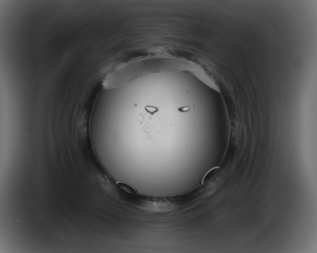 X0000086330466200704131724