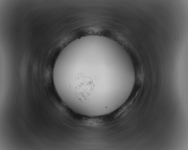 X0000086330468200704131725