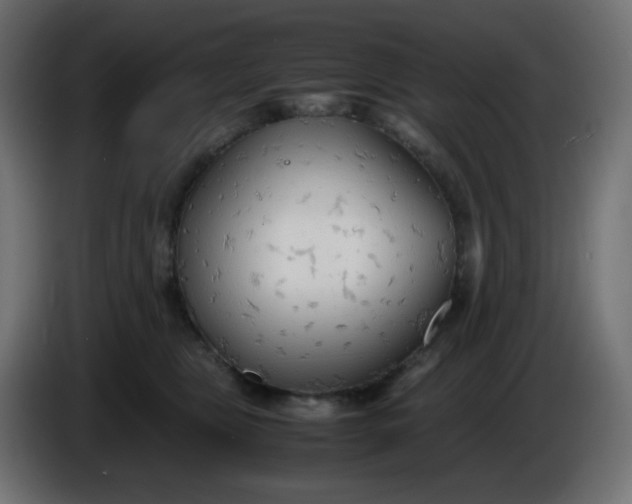 X0000086330469200704131725