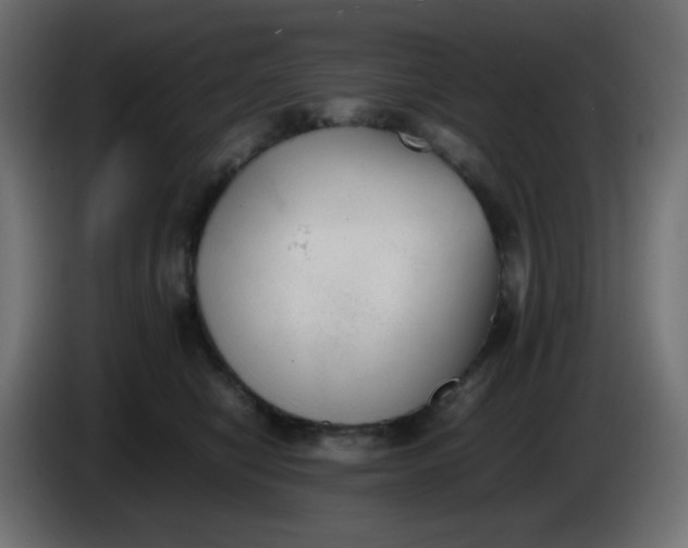 X0000086330470200704131725