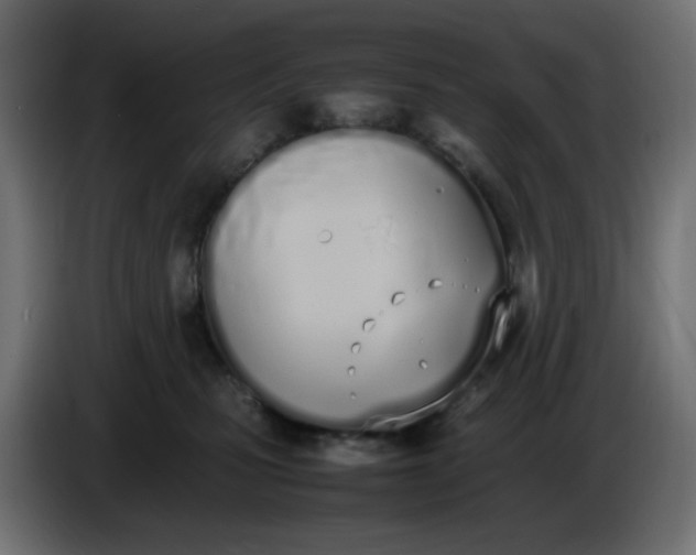 X0000086330471200704131725