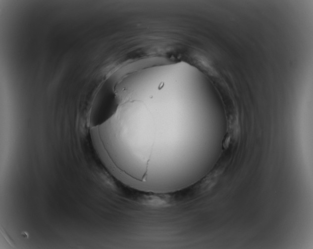 X0000086330474200704131725