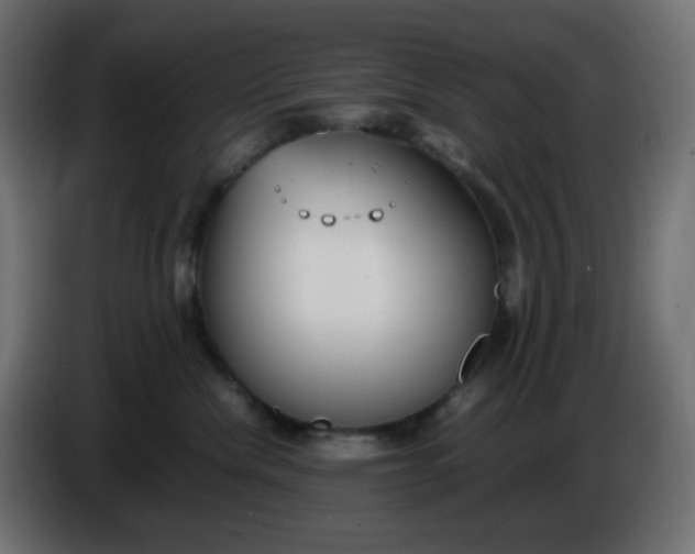 X0000086330476200704131725