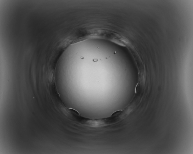 X0000086330477200704131725