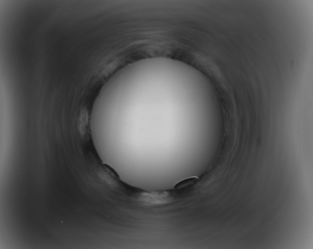 X0000086330480200704131725