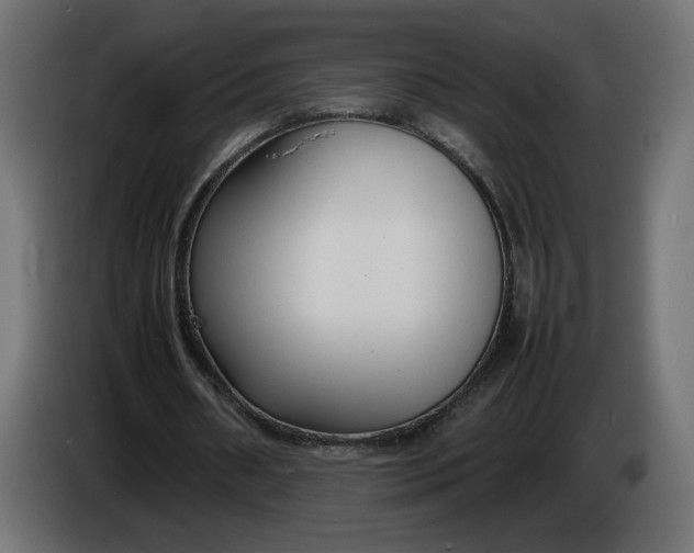 X0000086330482200704131724