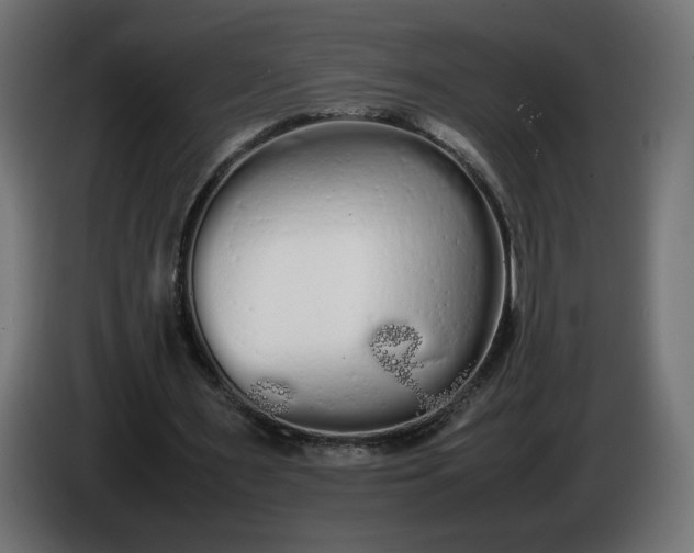 X0000086330483200704131724