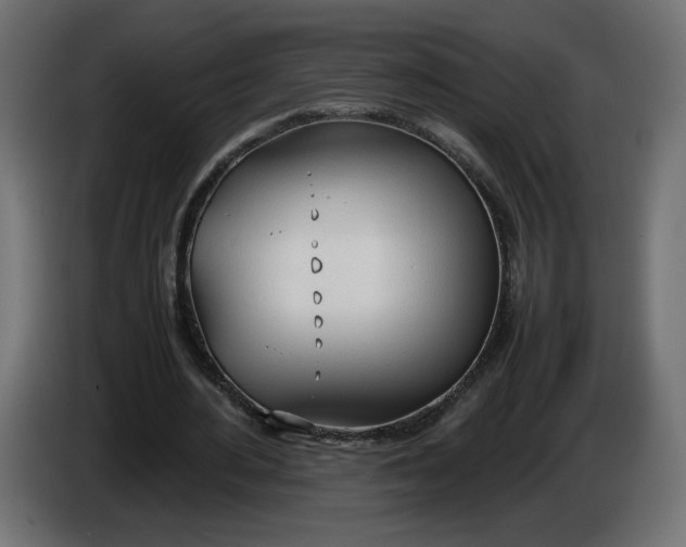 X0000086330484200704131724