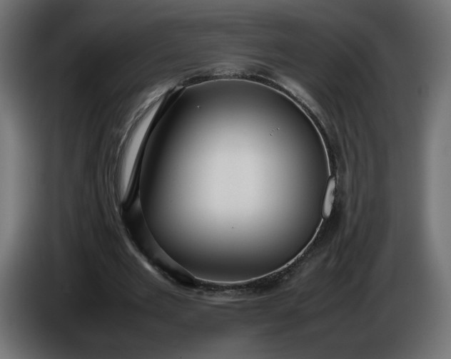 X0000086330485200704131724