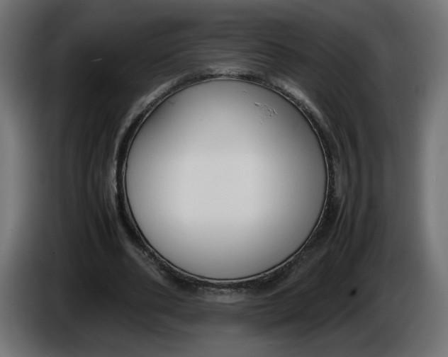 X0000086330486200704131724