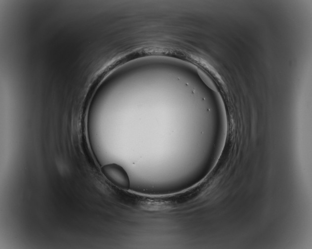 X0000086330487200704131724